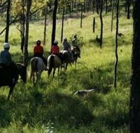 Hunter Valley Horse Riding and Adventures - Accommodation Sunshine Coast