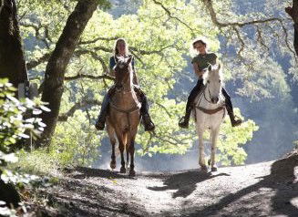 Hunter Valley Horse Riding And Adventures - Accommodation Sunshine Coast 1