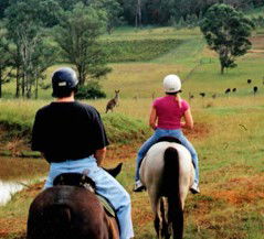 Hunter Valley Horse Riding And Adventures - Accommodation Sunshine Coast 3