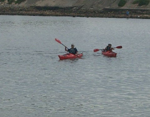 Newcastle Kayak Tours - Accommodation Sunshine Coast 4