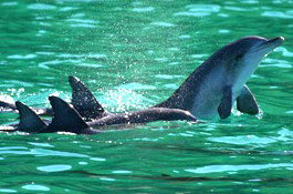 Sydney Weekend Adventures - Accommodation Sunshine Coast 1