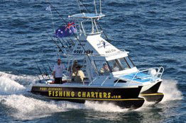 Tamboi Queen Cruises - Accommodation Sunshine Coast 3