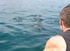 Tex Tours - Accommodation Sunshine Coast 3