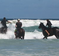 Pegasus Park Equestrian Centre - Accommodation Sunshine Coast
