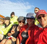 Byron Bay Whale Watching - Accommodation Sunshine Coast