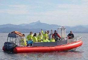 Byron Bay Whale Watching - Accommodation Sunshine Coast 2