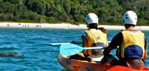 Go Sea Kayak - Accommodation Sunshine Coast 2