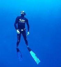Byron Bay Dive Centre - Accommodation Sunshine Coast 1