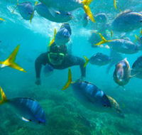 G Adventures - Accommodation Sunshine Coast