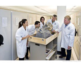 Behind The Scenes Tours At Australian Museum - Accommodation Sunshine Coast 0