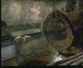 Australian Museum - Accommodation Sunshine Coast 3