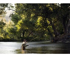 Fly Fishing Tumut - Accommodation Sunshine Coast 1