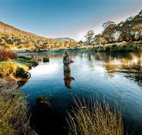 Fly Fishing Tumut - Accommodation Sunshine Coast