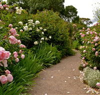 Ross Garden Tours - Accommodation Sunshine Coast