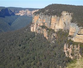 Country Charmâ„¢ Discovery Tours - Accommodation Sunshine Coast 4
