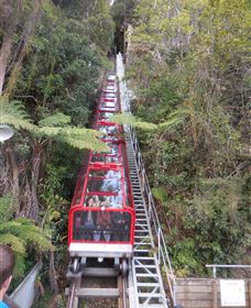 Country Charmâ„¢ Discovery Tours - Accommodation Sunshine Coast 6