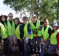 Conservation Volunteers Australia - Sydney - Accommodation Sunshine Coast