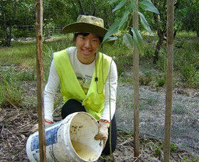 Conservation Volunteers Australia - Sydney - Accommodation Sunshine Coast 1