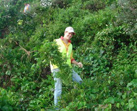 Conservation Volunteers Australia - Sydney - Accommodation Sunshine Coast 2