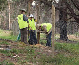 Conservation Volunteers Australia - Sydney - Accommodation Sunshine Coast 4