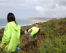 Conservation Volunteers Australia - Sydney - Accommodation Sunshine Coast 5