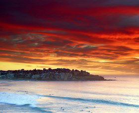 Aquabumps - Accommodation Sunshine Coast 8