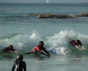 SEA Australia - Accommodation Sunshine Coast 2