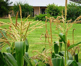 Experiment Farm Cottage - Accommodation Sunshine Coast 4