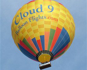 Cloud 9 Balloon Flights - Accommodation Sunshine Coast 0