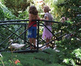 EG Waterhouse National Camellia Garden - Accommodation Sunshine Coast 0