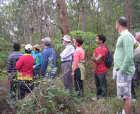 Boronia Tours - Accommodation Sunshine Coast 0