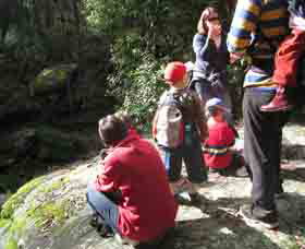 Boronia Tours - Accommodation Sunshine Coast 2