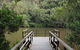 Berowra Valley National Park - thumb 0
