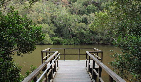 Berowra Valley National Park - Accommodation Sunshine Coast 0