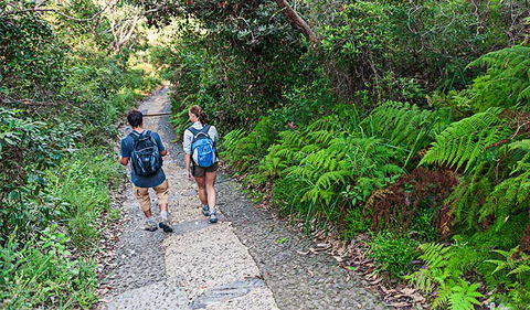 Barrenjoey Lighthouse - Accommodation Sunshine Coast 3