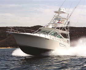 1300 Big Fish - Accommodation Sunshine Coast 0