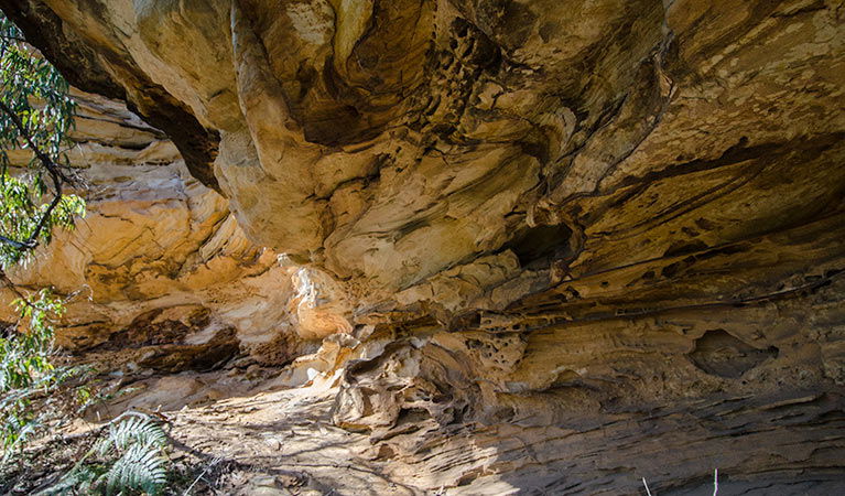 Canoelands NSW Accommodation Sunshine Coast