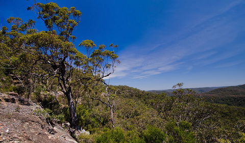 Marramarra National Park - Accommodation Sunshine Coast 1