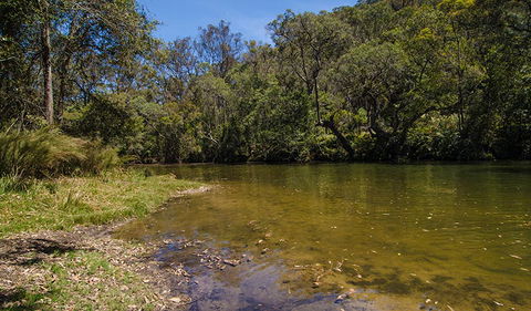 Marramarra National Park - Accommodation Sunshine Coast 2
