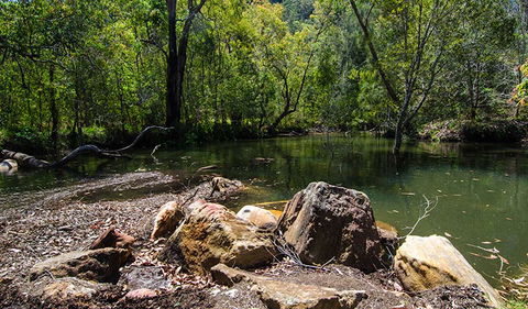 Marramarra National Park - Accommodation Sunshine Coast 3