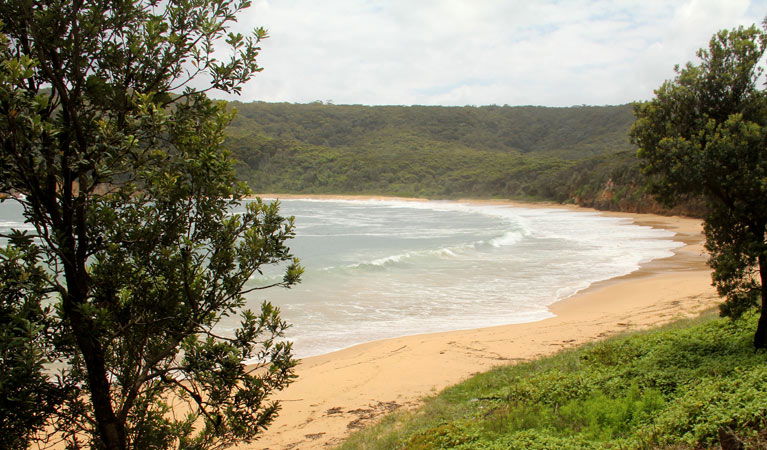 Bouddi NSW Accommodation Sunshine Coast