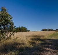 Scheyville horse riding trails - Accommodation Sunshine Coast