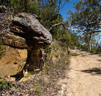 Canoelands Ridge walking track - Accommodation Sunshine Coast