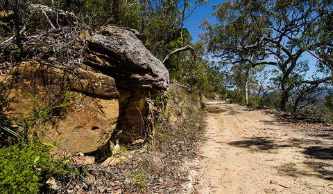 Canoelands Ridge Walking Track - Accommodation Sunshine Coast 0