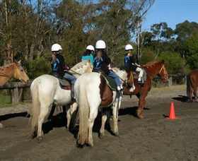 Darkes Forest NSW Accommodation Sunshine Coast