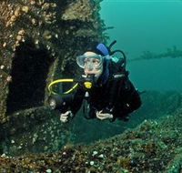Ex-Hmas Adelaide Dive Site - Accommodation Sunshine Coast