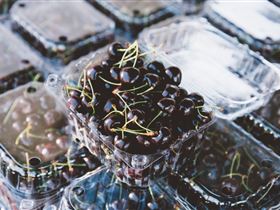 Adelaide Farmers' Market Showground - Accommodation Sunshine Coast 1