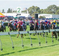 Morphettville Racecourse - Accommodation Sunshine Coast