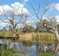 Lagoon Creek - Accommodation Sunshine Coast