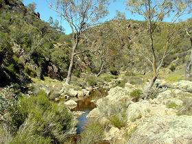 Saunders Gorge Sanctuary - Accommodation Sunshine Coast 1